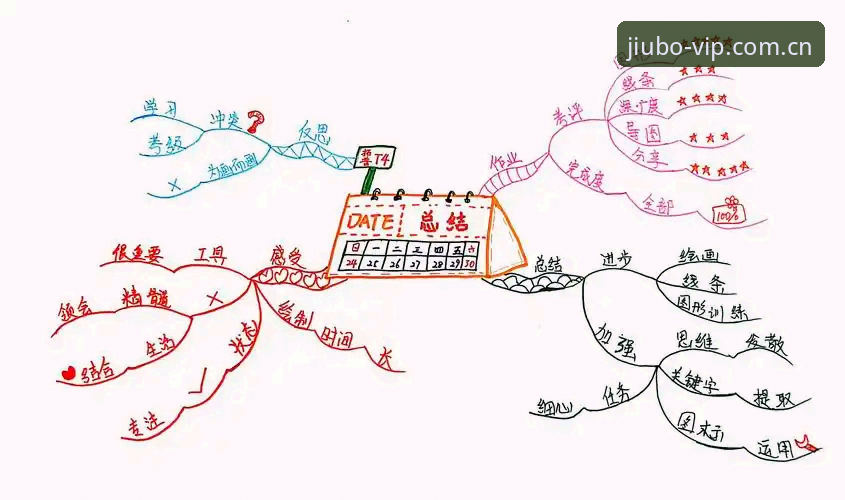 实战派总结：九博体育平台安全下载与高效使用的核心心得